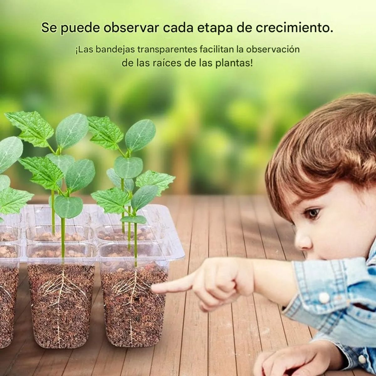 GENERICO - Kits 5 Germinadores De Semillas Mini Invernadero Semillero