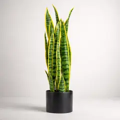 GENERICO - Planta Artificial Lengua De Suegra Con Macetero 90cm