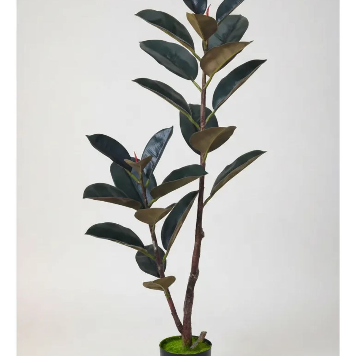 GENERICO - Planta Artificial Gomero Ficus Con Macetero 130cm