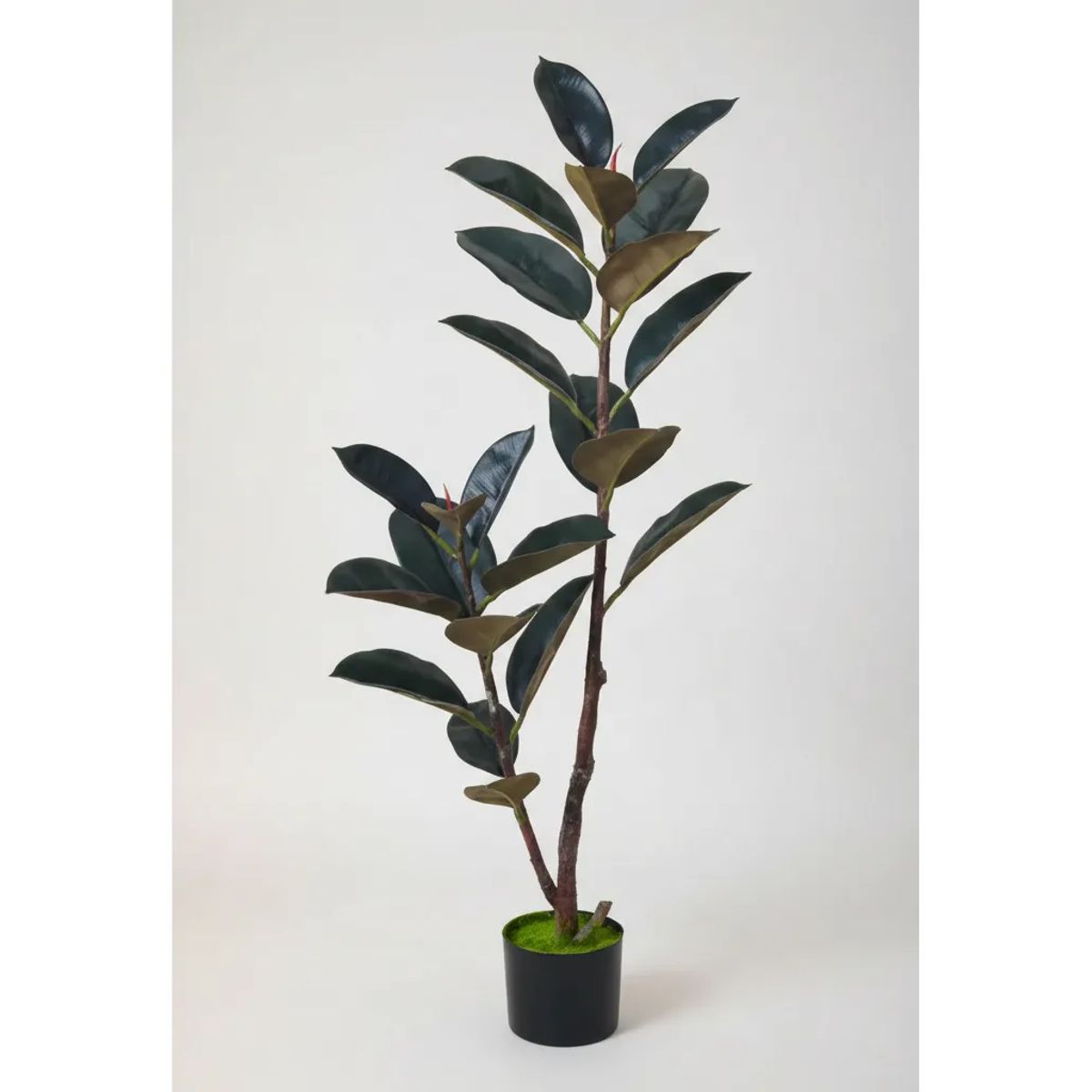 GENERICO - Planta Artificial Gomero Ficus Con Macetero 130cm