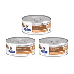 HILLS - X3 Hill's Prescription Diet Kidney Care Gato Adulto 156 g c/u