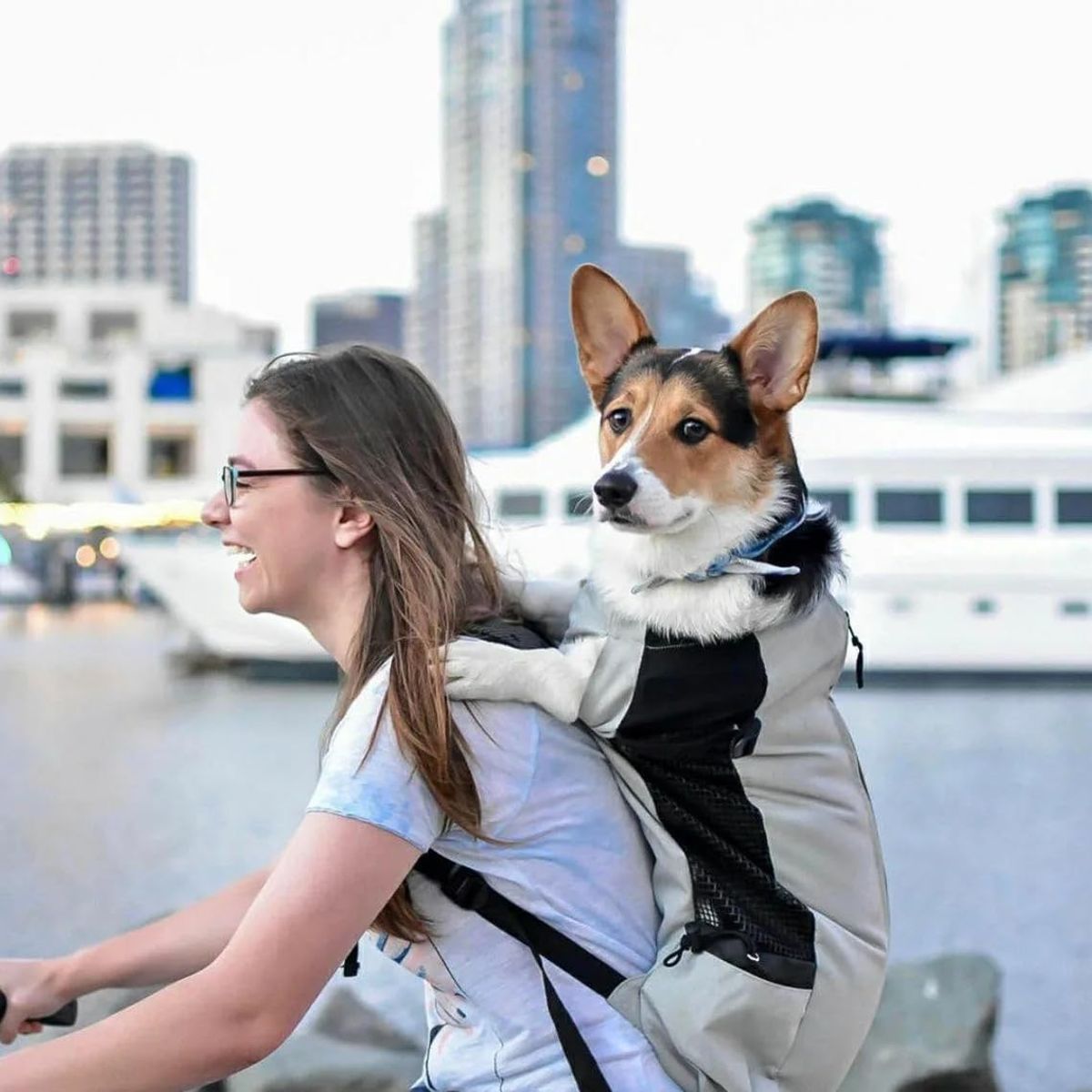 KUANGYE - Mochila Porta Perros Paseo Caminar Bicicleta Moto Grande
