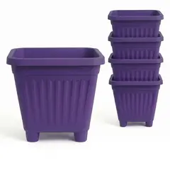 GENERICO - Pack 5 Maceteros Plástico Cuadrado Morado 10 cm