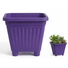 GENERICO - Pack 10 Maceteros Plástico Cuadrado Morado 10 cm