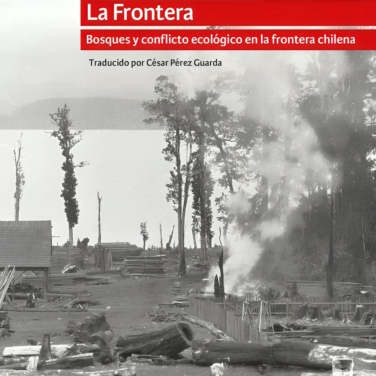 TOP10BOOKS - LIBRO La Frontera: Bosques Y Conflicto Ecológico En La Frontera Chilena