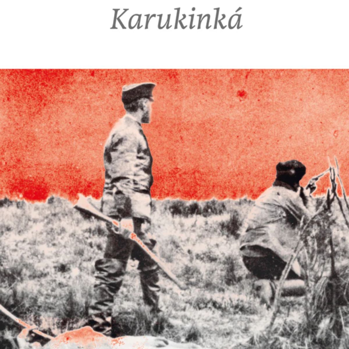 TOP10BOOKS - LIBRO Karukinká - Dionisio Seissus