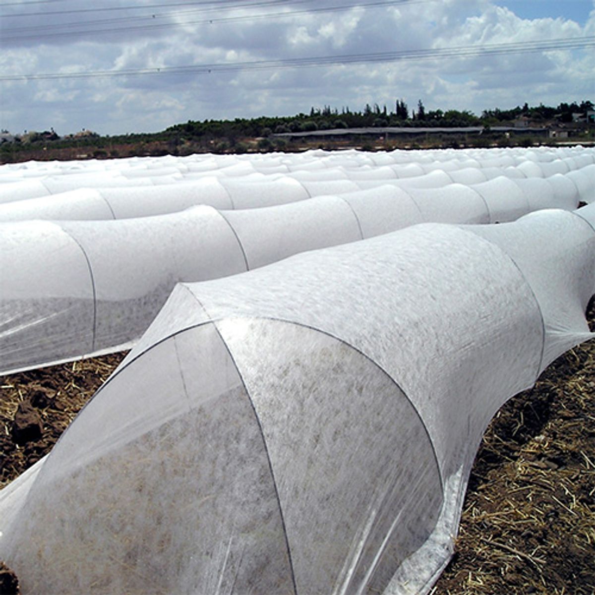 MARIENBERG - Tela Antihelada de 1,40x1000m 17gr/m2 con Filtro UV Blanco 1 unidad