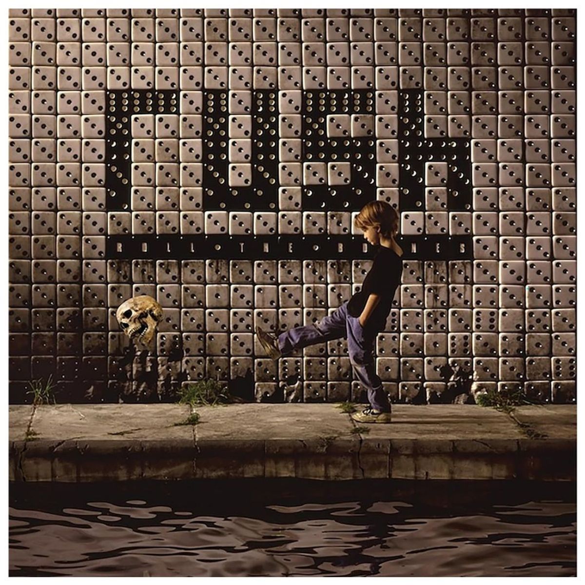 GENERICO - RUSH - ROLL THE BONES / VINILO