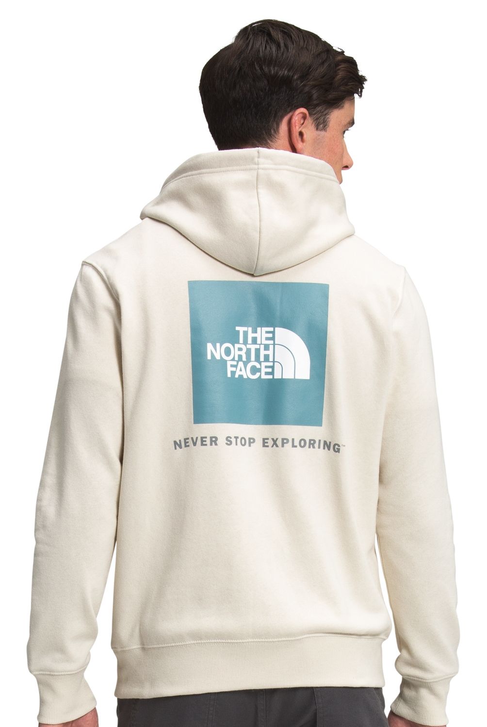THE NORTH FACE - Polerón Hombre