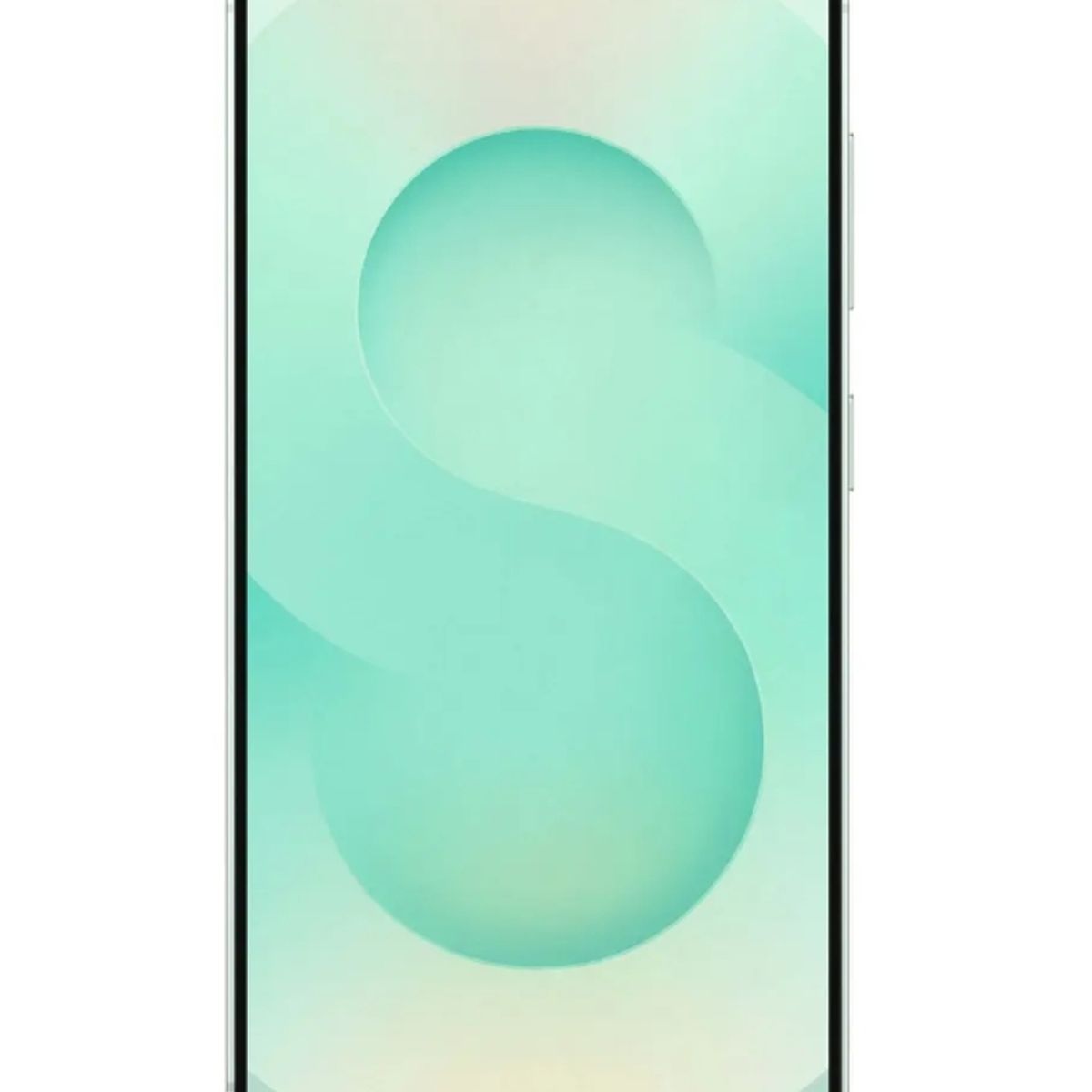 SAMSUNG - Samsung Galaxy S25 256GB SM-S931BDS