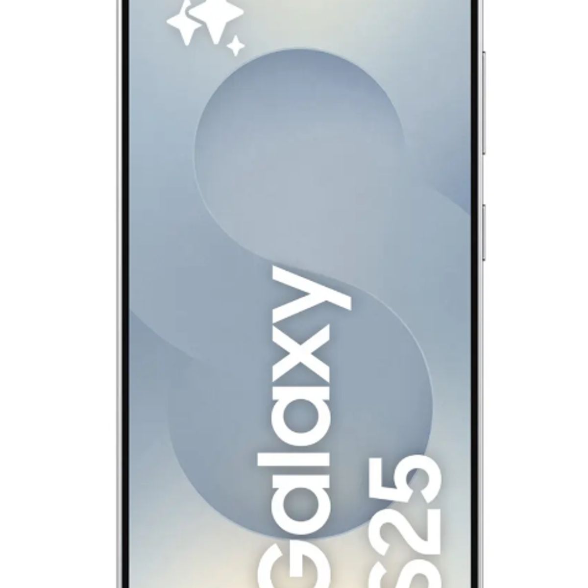 SAMSUNG - Samsung Galaxy S25 128GB SM-S931BDS