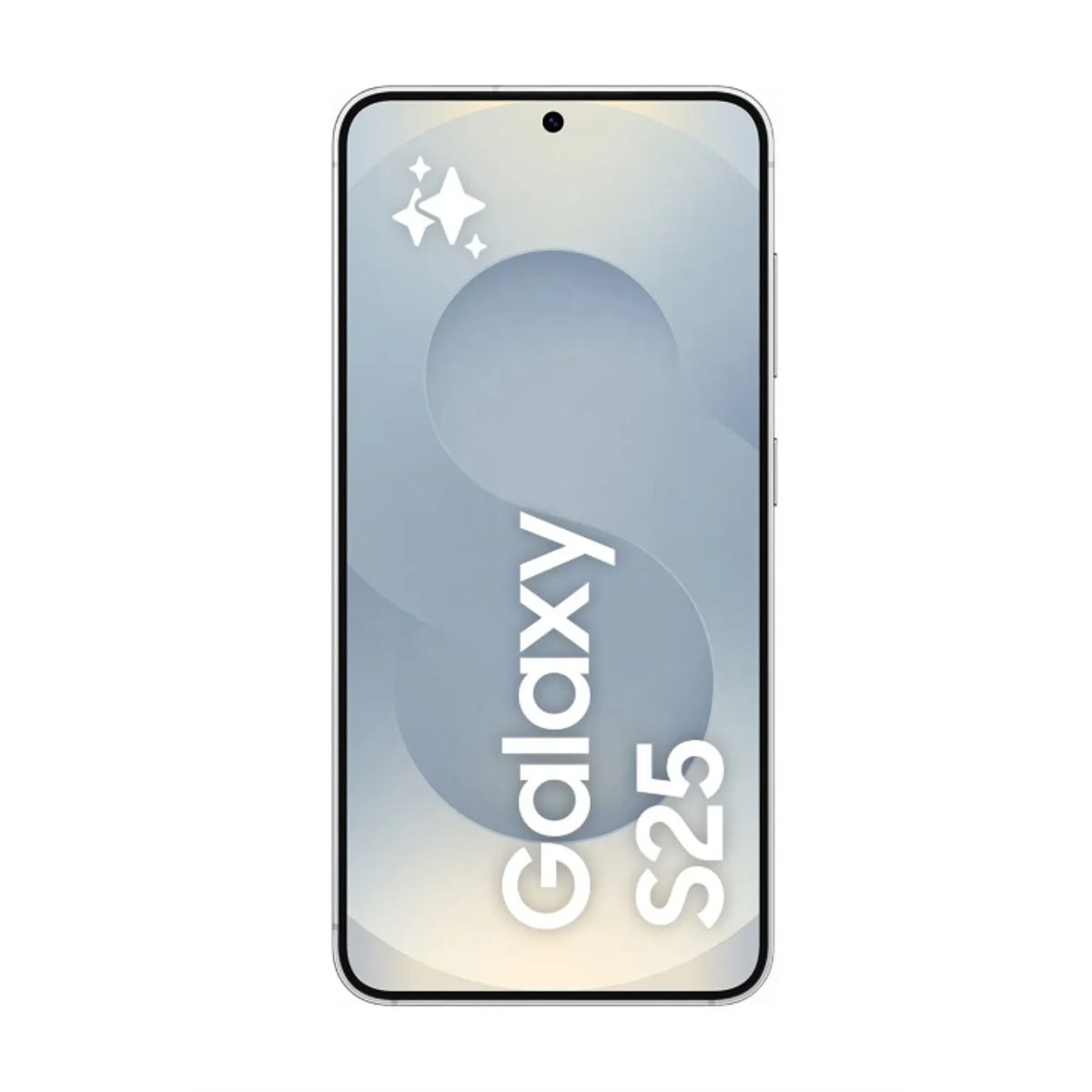 SAMSUNG - Samsung Galaxy S25 128GB SM-S931BDS