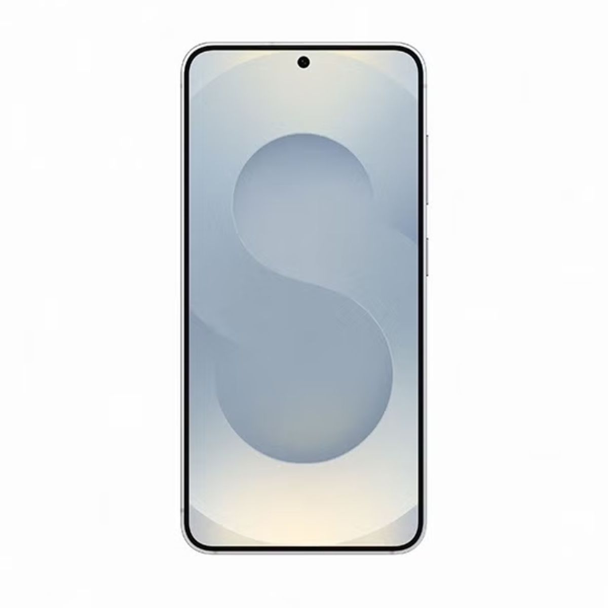 SAMSUNG - Samsung Galaxy S25 256GB SM-S931BDS