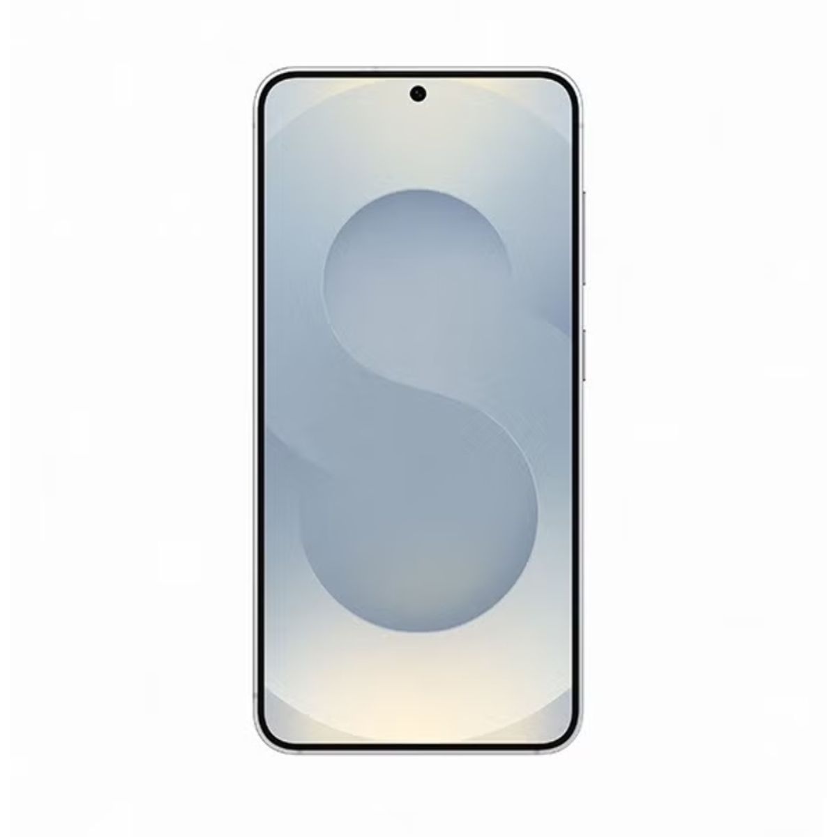 SAMSUNG - Samsung Galaxy S25 256GB SM-S931BDS