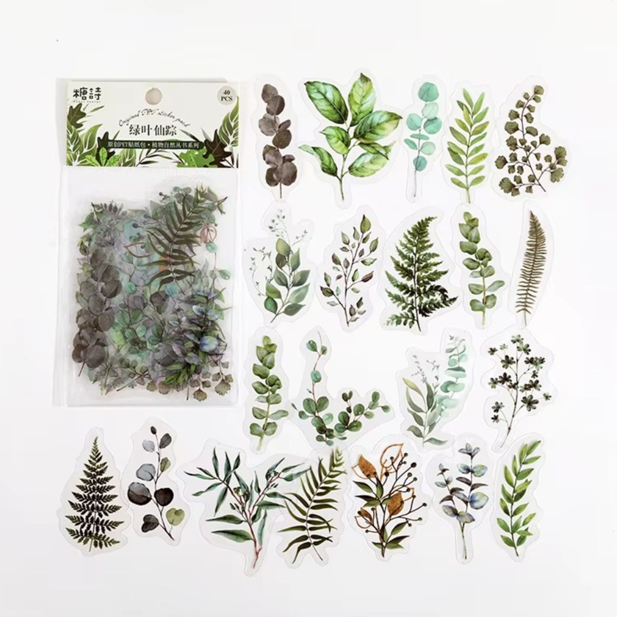 GENERICO - 40 Stickers Hojas Naturaleza Journaling Scrapbooking