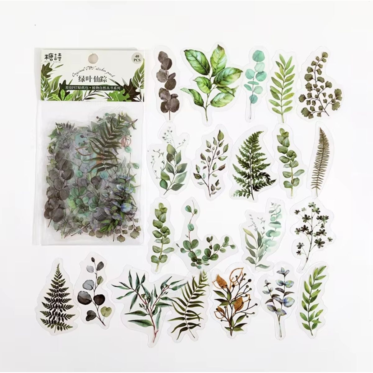 GENERICO - 40 Stickers Hojas Naturaleza Journaling Scrapbooking