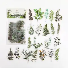 GENERICO - 40 Stickers Hojas Naturaleza Journaling Scrapbooking