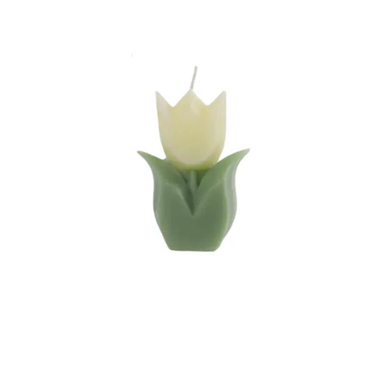 GENERICO - Set 6 Vela Aromática Tulipán 9x6x2cm