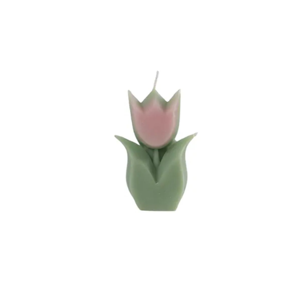 GENERICO - Set 6 Vela Aromática Tulipán 9x6x2cm