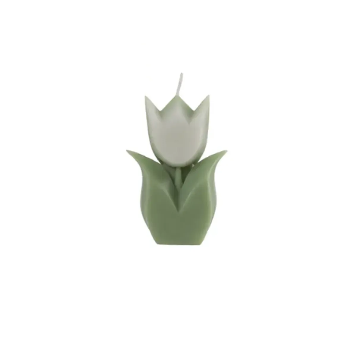 GENERICO - Set 6 Vela Aromática Tulipán 9x6x2cm