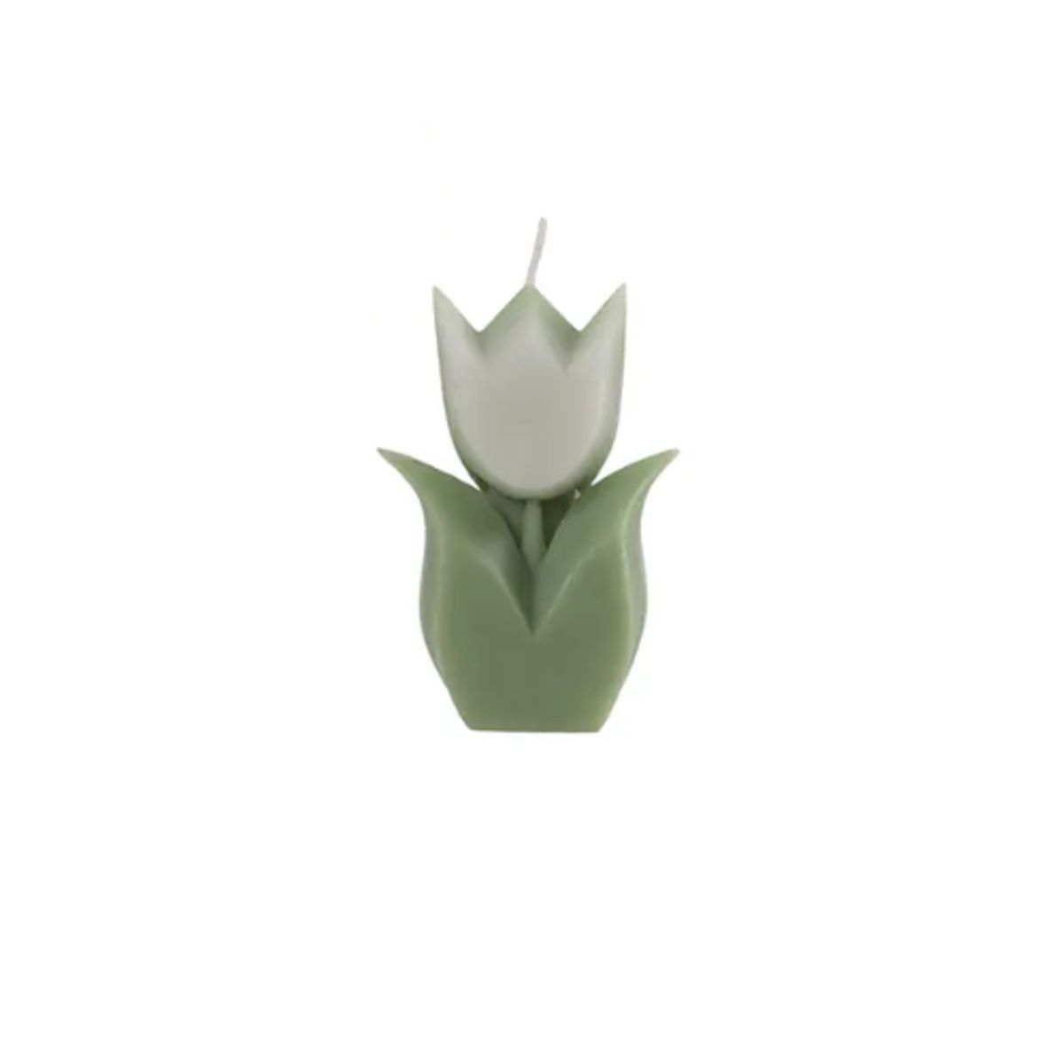 GENERICO - Set 6 Vela Aromática Tulipán 9x6x2cm