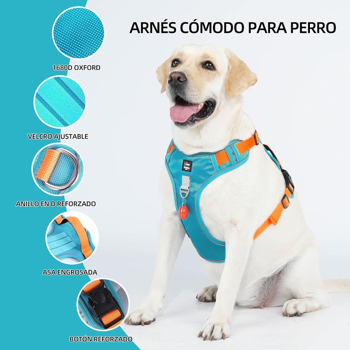 SANKARA - Arnés para Perro Ajustable con Correa y Velcro Antitirones Reflectante AZUL Talla M