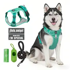 SANKARA - Arnés para Perro Ajustable con Correa y Velcro Antitirones Reflectante VERDE Talla L