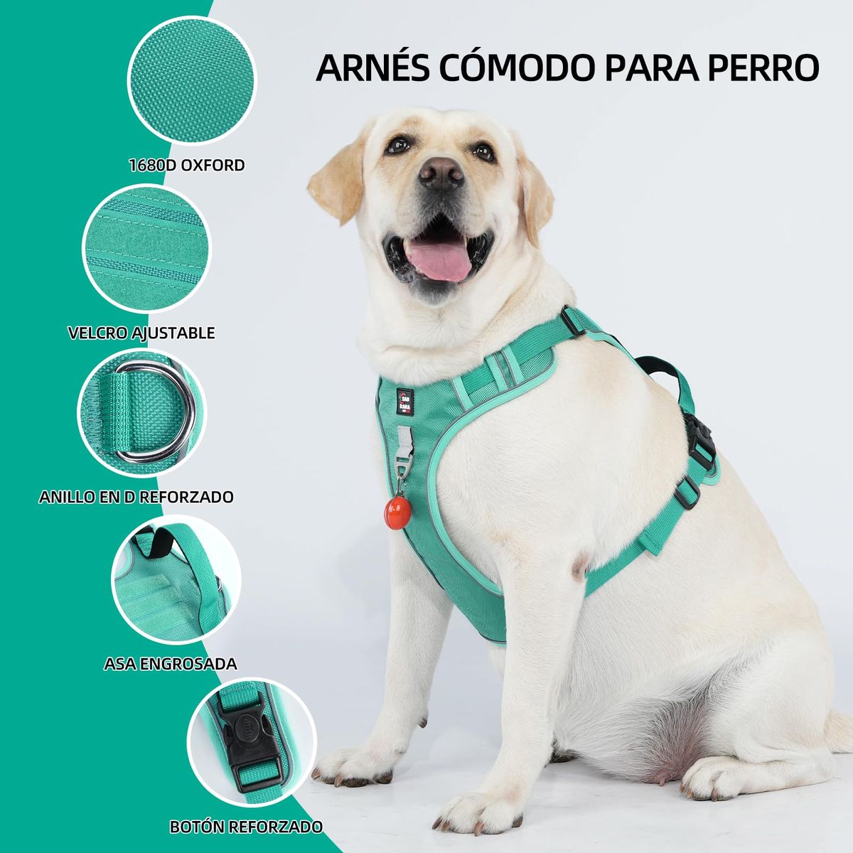 SANKARA - Arnés para Perro Ajustable con Correa y Velcro Antitirones Reflectante VERDE Talla XL