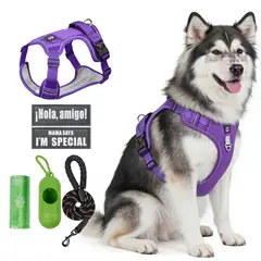 SANKARA - Arnés para Perro Ajustable con Correa y Velcro Antitirones Reflectante VIOLETA Talla S