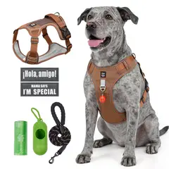 SANKARA - Arnés para Perro Ajustable con Correa y Velcro Antitirones Reflectante MARRON Talla L
