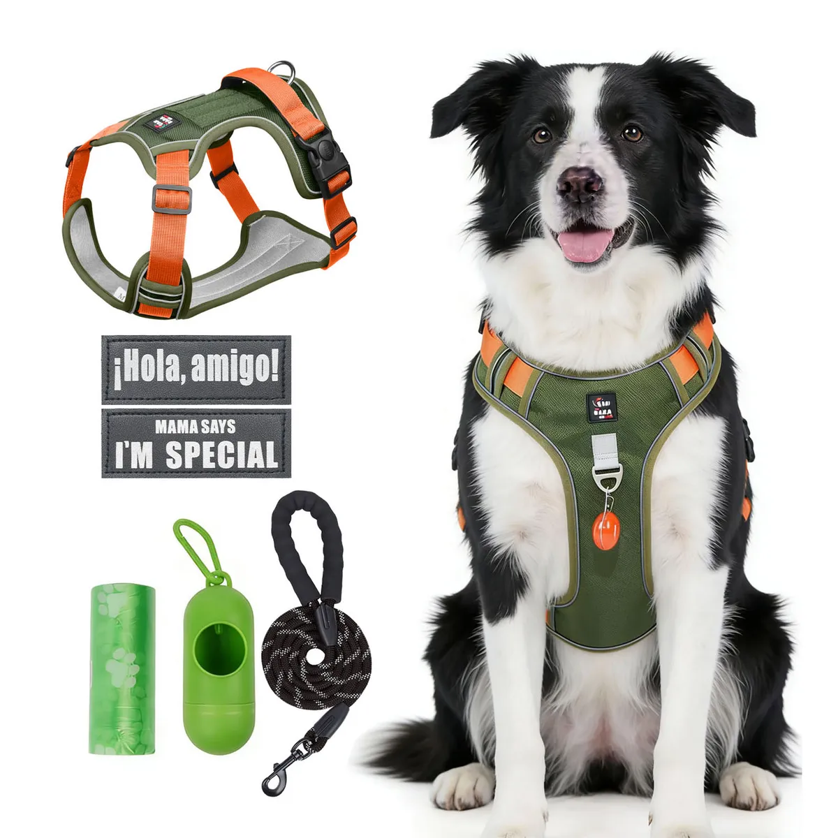 SANKARA - Arnés para Perro Ajustable con Correa y Velcro Antitirones Reflectante VERDE MUSGO Talla M