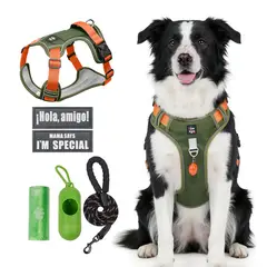 SANKARA - Arnés para Perro Ajustable con Correa y Velcro Antitirones Reflectante VERDE MUSGO Talla M