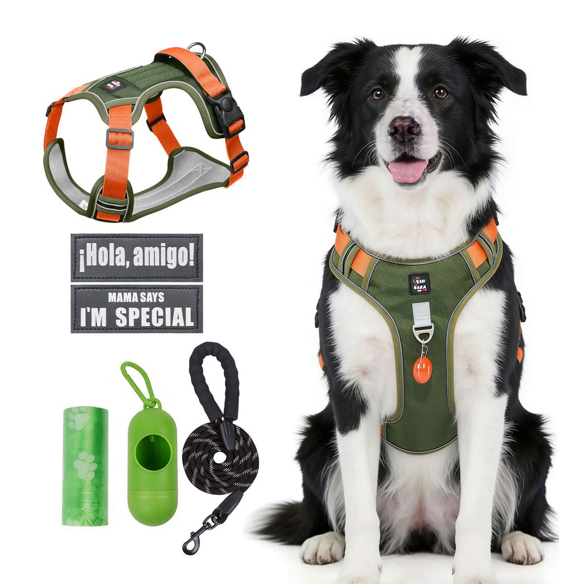 SANKARA - Arnés para Perro Ajustable con Correa y Velcro Antitirones Reflectante VERDE MUSGO Talla XL