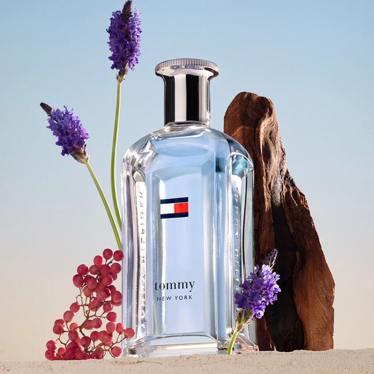 TOMMY HILFIGER - Tommy Hilfiger Tommy New York EDT 100Ml Hombre