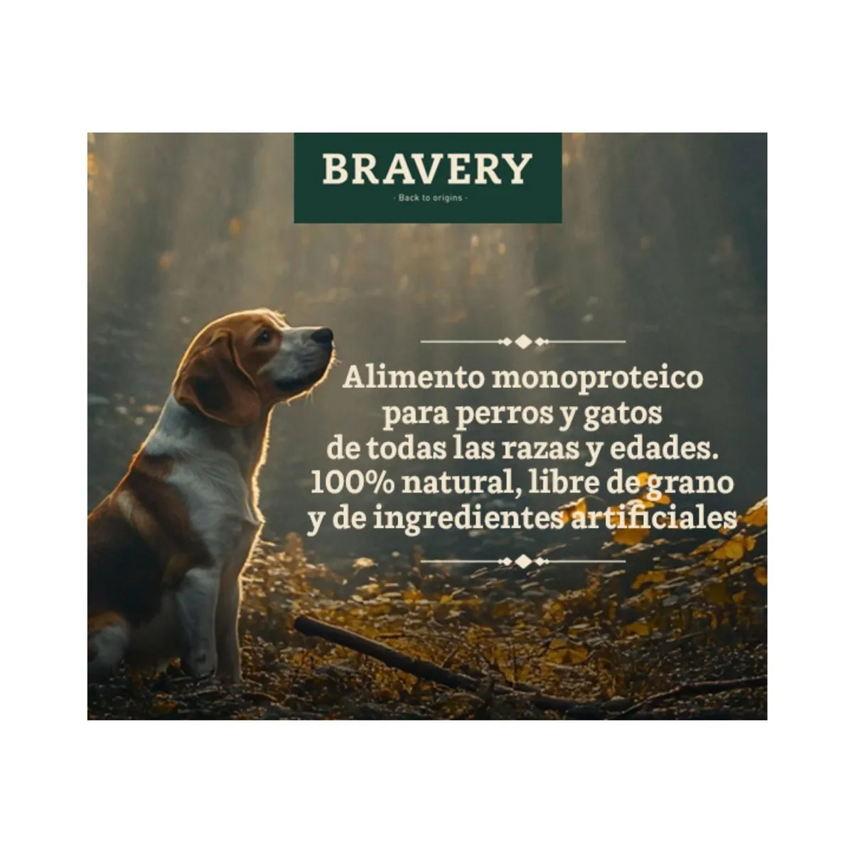 BRAVERY - Bravery Lamb Adult Razas Medianas Grandes 12 kg