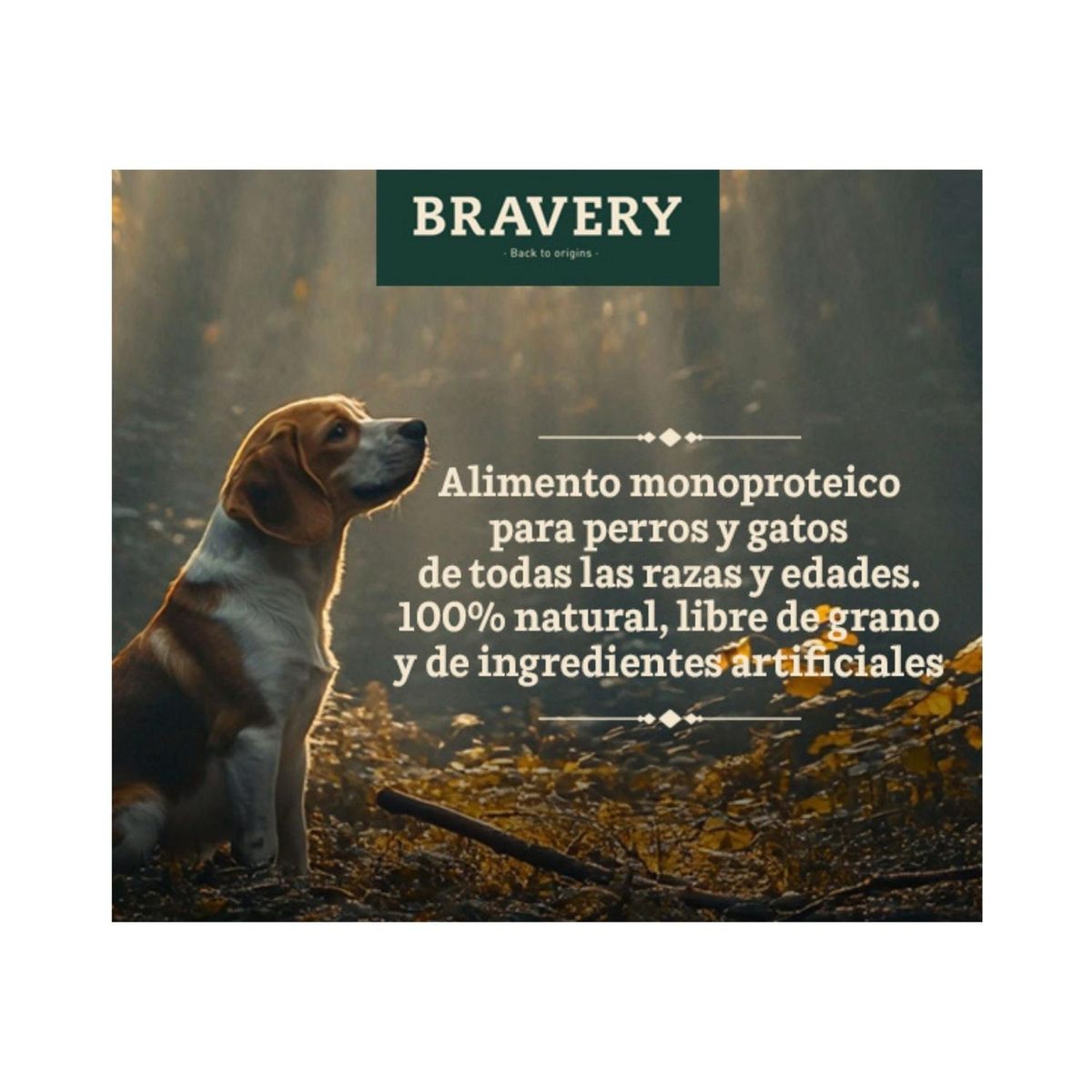 BRAVERY - Bravery Iberian Pork Adult Razas Pequeñas 2 kg