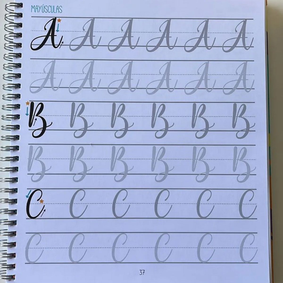 PROARTE - Cuaderno Lettering Tu Propio Estilo 50 Hojas Proarte