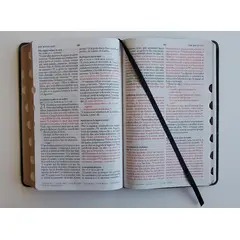 PENGUIN RANDOM HOUSE - Biblia Reina Valera 1960 Letra Grande León Símil Piel Índice