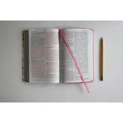 PENGUIN RANDOM HOUSE - Biblia Reina Valera 1960 Letra Grande Rosada Flores