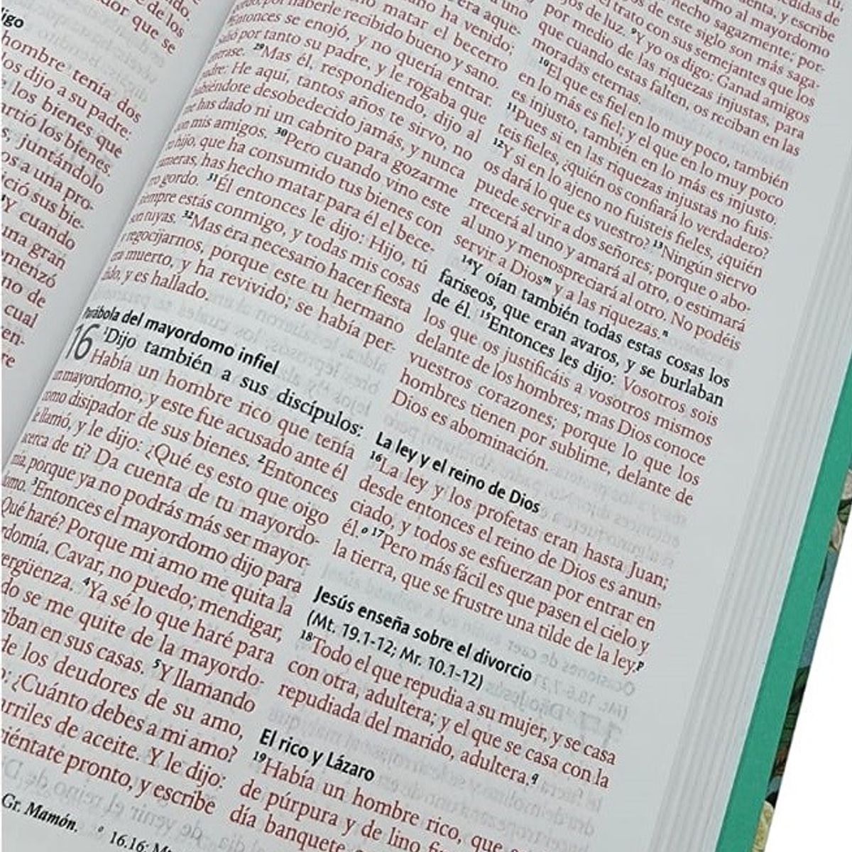 ORIGEN - Biblia RVR 1960 letra 10,5 pt, tamaño manual, tapa dura Jardin de flores