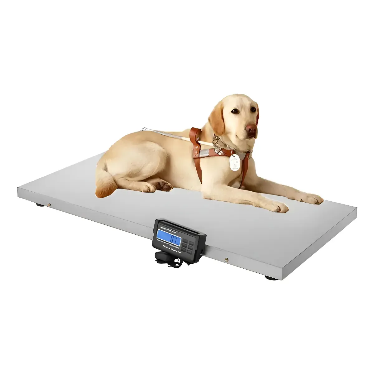 GENERICO - Balanza Bascula Digital Veterinaria 200 Kg