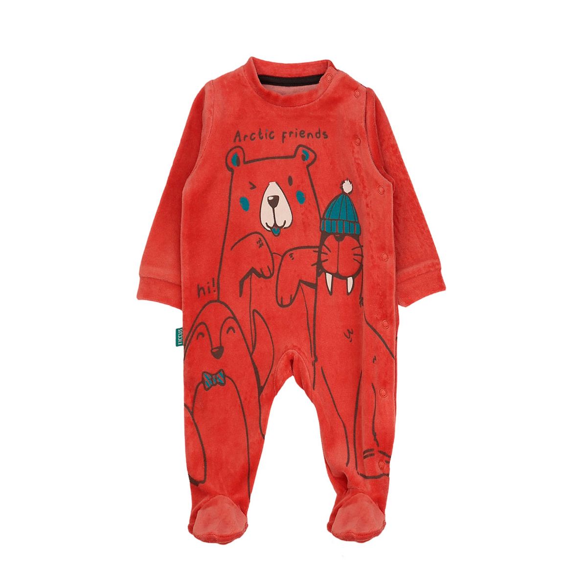 FICCUS - Osito Niño Arctic 2620113 Naranjo Ficcus
