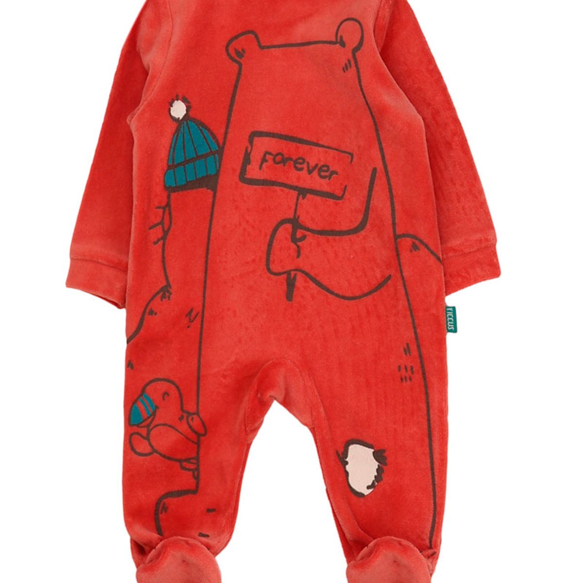 FICCUS - Osito Niño Arctic 2620113 Naranjo Ficcus