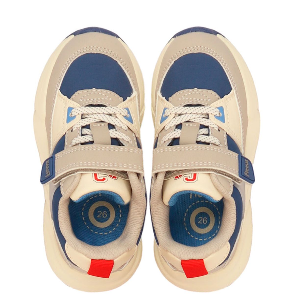FICCUS - Zapatilla Sport Niño Sport 2620862 Azul Ficcus