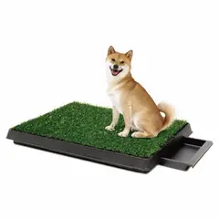 GENERICO - Baño Ecológico XL para Perros Limpieza, Comodidad y Control de Olores