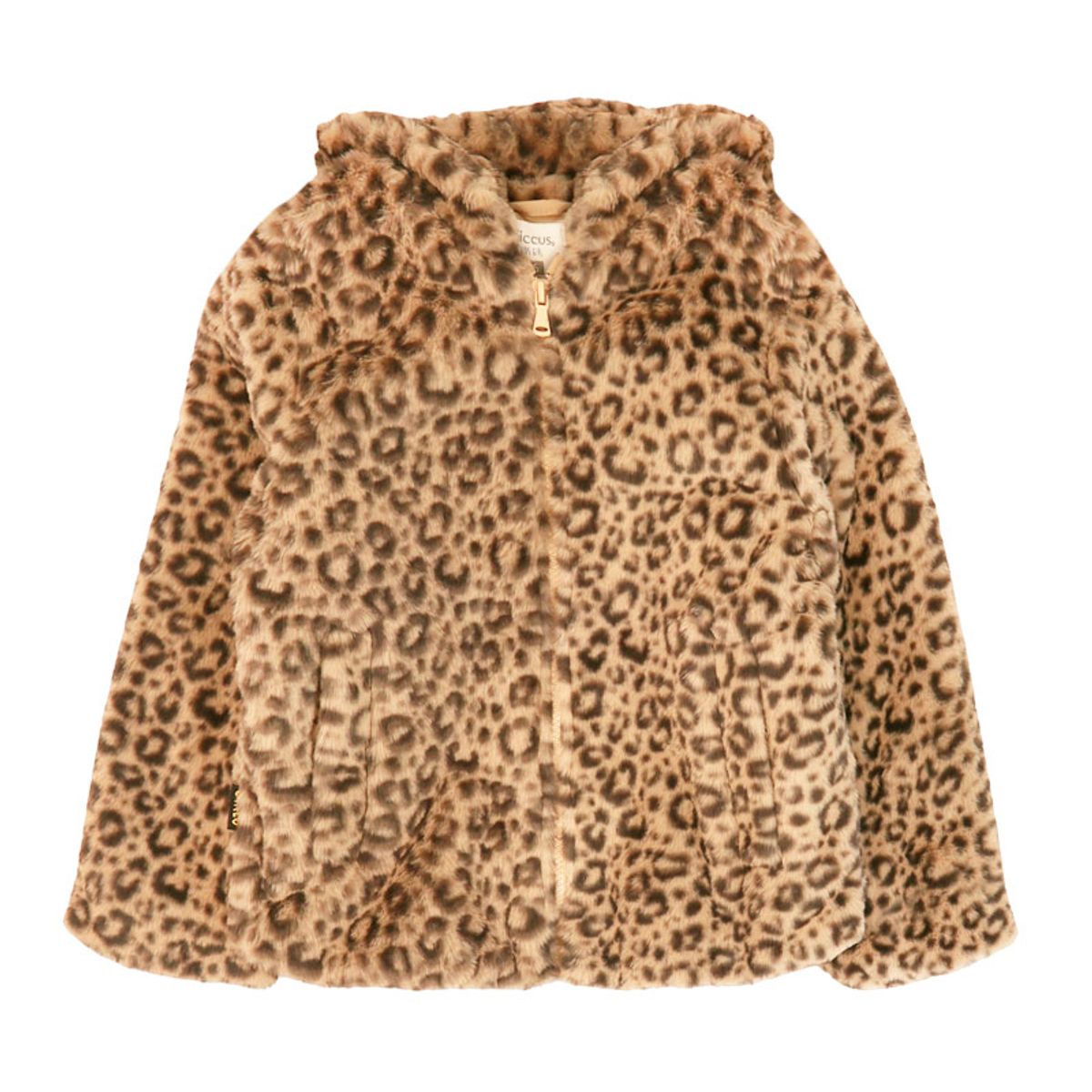 FICCUS - Chaqueta Niña Squad 2620319 Café Ficcus