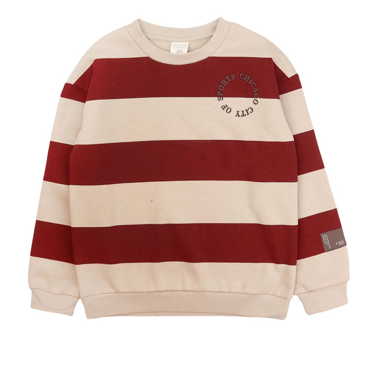 FICCUS - Polerón Niño Squad 2620339 Gris Ficcus