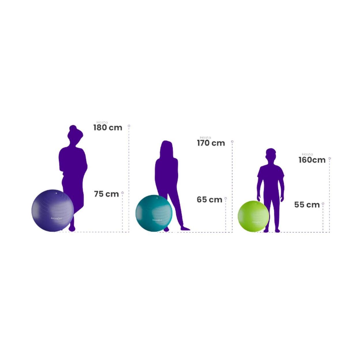 THERAMART - Balón, Pelota de Ejercicios de 55 cm , mas Bombín marca Backbone