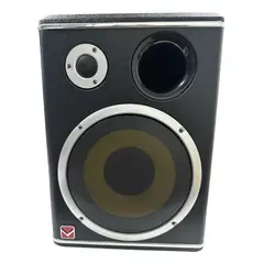 GENERICO - Subwoofer Con Amplificador 10 Pulgadas Grande 12v 29x46x31cm