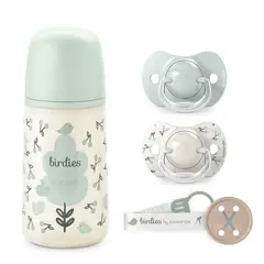SUAVINEX - PACK CHUPETES + MAMADERA 270ML + BROCHE BIRDIES VERDE 0-6M